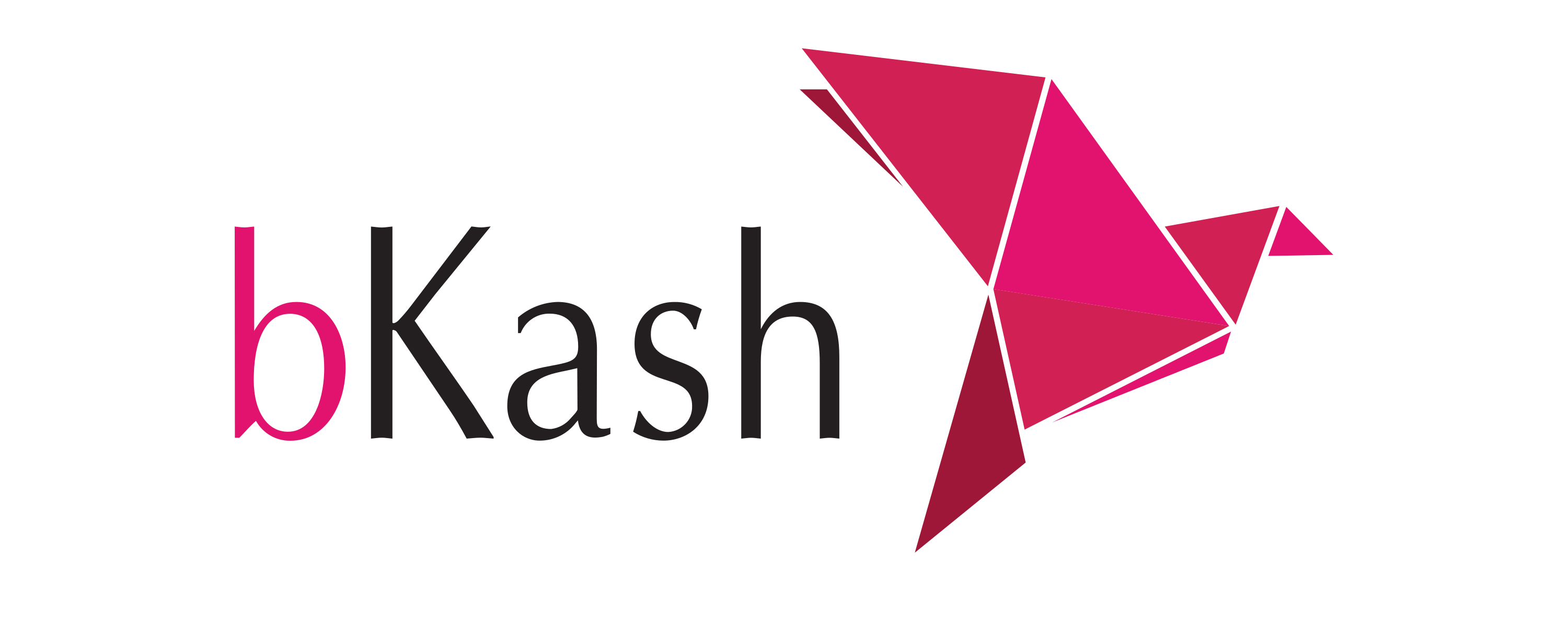 bKash payment